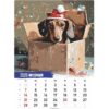 2025 Dachshund Calendar Daily Weekly Monthly Planner Paper Hanging Wall Calendar Gift Home Decor Wall Calendar Supplies