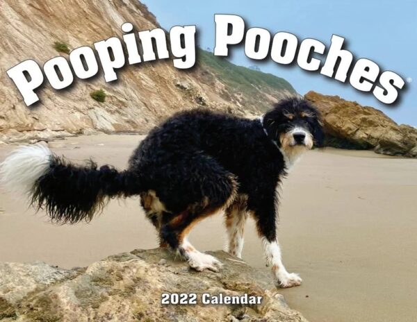 Dog Poop Calendar Animal Parody Desk Calendar