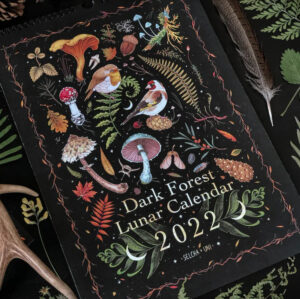 Dark Forest Calendar Animal Wall Calendar