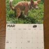 Dog Poop Calendar Animal Parody Desk Calendar