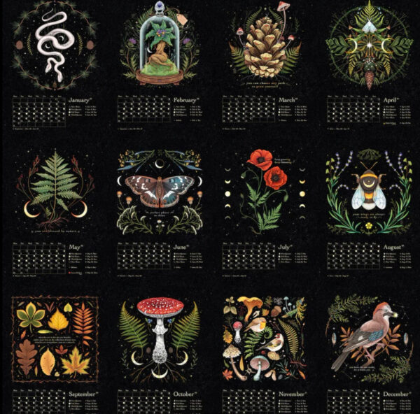 Dark Forest Calendar Animal Wall Calendar