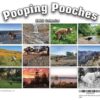 Dog Poop Calendar Animal Parody Desk Calendar