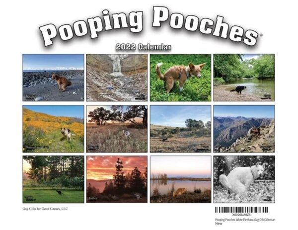 Dog Poop Calendar Animal Parody Desk Calendar